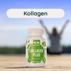 Kollagen